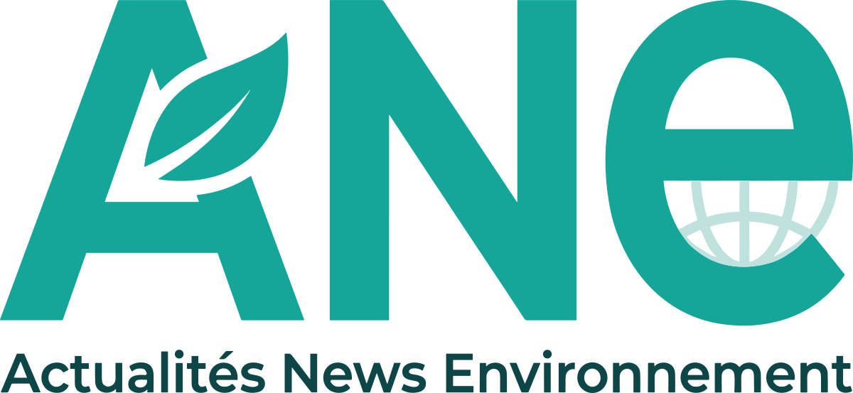 Actualités News Environnement